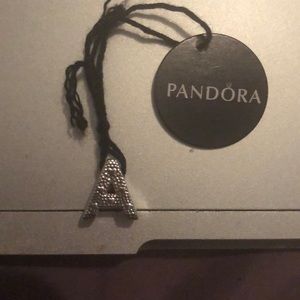 PANDORA CHARMS